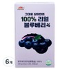 100% real blueberry puree made just like Vitamin Bank, 6 pieces, 14 servings / 비타민뱅크 그대로 갈아만든 100% 리얼 블루베리 퓨레, 6개, 14회분