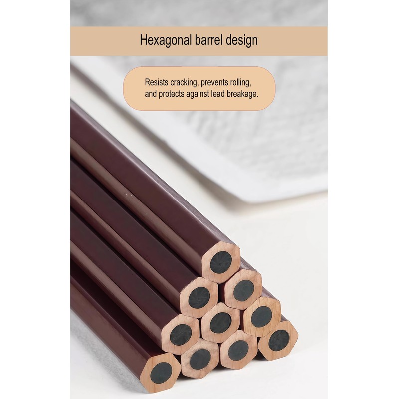 Professional Drawing Charcoal Pencils Set, 10 Piece Art Supplies with