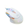 [2024 New Arrival - Human Body Engineering, RGB Gaming Mouse]