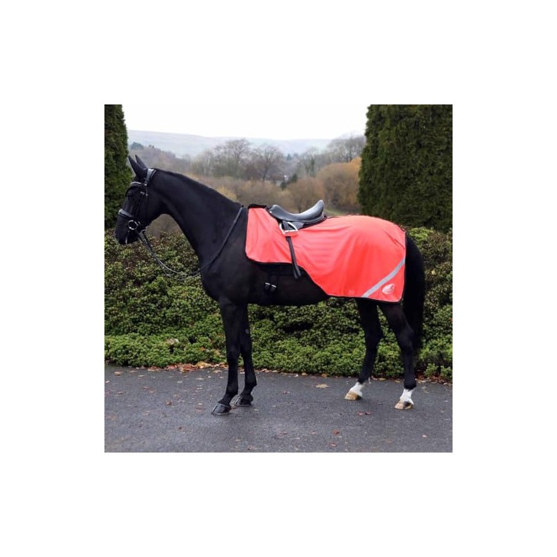 Masta Hi Viz Mesh Exercise Sheet - High-Visibility, Breathable, Summer