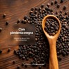 B Life Resveratrol 200 Cápsulas | Antioxidante Natural de 1000