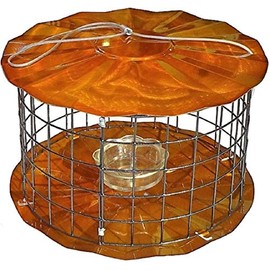 Erva BBF1C Meal Worm Barrier Guard Feeder, Copper
