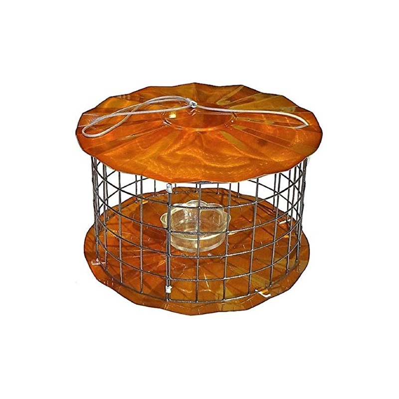 Erva BBF1C Meal Worm Barrier Guard Feeder, Copper