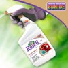 Bonide Captain Jack's Rose Rx 4-in-1 Insect & Disease Control,
