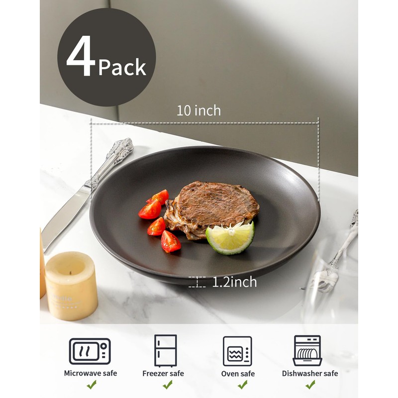 Tikooere Dinner Plates Set of 4, 10 Inch Ceramic Plates