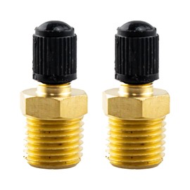2PCS Tank Valve, Anti-Corrosion Schrader Valve Standard Valve Core with 1/4'' Male NPT for Air Compressor Tanks