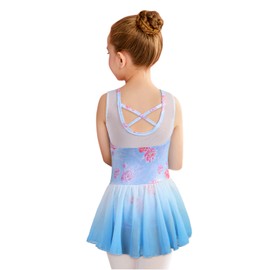 Belovance Dance Leotards for Girls Gymnastics Ballet Dress 3t 4t Toddler Kid Sleeveless Blue Flowers Tutu Skirted Leotard (Blue Flowers, 110(3-4T))