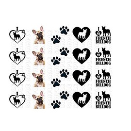 French Bulldog Frenchie Set #4 Nail Art Decals