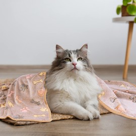 3 Pieces Pet Dog Blankets Washable Small Medium Lager Fluffy Blanket Soft and Warm for Cats Dogs Cute Paw Bone House Print Fuzzy Flannel Bed Cover (76 * 52CM))