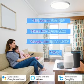 DoHome Smart LED Ceiling Light Work with Apple Homekit Alexa and Google Home RGBCW Color Changing Light Flush Mount Ceiling Lamp 24W Dimmable for Living Room, Bedroom, Home Use