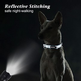 azuza Juego de collar y correa reflectante para perro, collar acolchado con correa a juego para perros pequeños, medianos y grandes