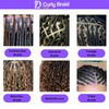 Darling Empress Collection Curly Braids Hair Extensions (#1) – 60