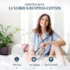 Mayfair Linen 100% Egyptian Cotton Sheets Queen Size - 1500