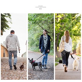 CLSSLVVBN Nylon Pet Leash Portable Padded Handle Tear-Resistant Reflective Solid Color Outdoor Walking Rope Tool with Hook, Black