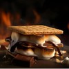 Large Marshmallows - 1 lb, Vanilla Flavored,Kosher, Nut-Free, Gluten-Free -