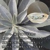 THE EARTH GRACE White Sage Leaf 100g (50g x 2pcs)