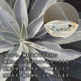 THE EARTH GRACE White Sage Leaf 100g (50g x 2pcs) Purifying Incense Smudging