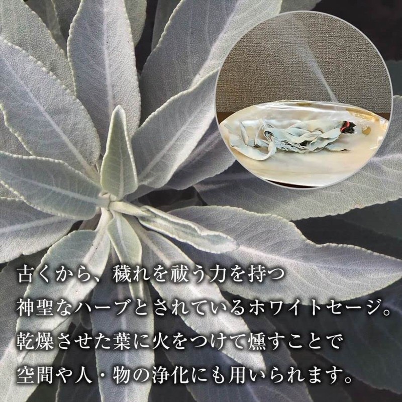 THE EARTH GRACE White Sage Leaf 100g (50g x 2pcs)