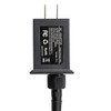 CAWWS RBG Outdoor String Lights Adaptor, Not Compatible with Alexa