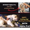 MISTIC COOL Alpha Pro Dog Trimmer for Grooming | Painlessly