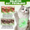 Cat Probiotic Powder, Cat Probiotics for Gut Health, Probiotic Powder