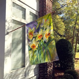 Caroline's Treasures BMBO0880CHF Daffodils by Maureen Bonfield House Flag Large Porch Sleeve Pole Decorative Outside Yard Banner Artwork Wall Hanging, Polyester, House Size, Multicolor