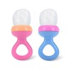 Nuby Nibbler Mesh First Soft Foods Feeder, 2pk, Colors May
