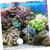 BESPORTBLE Aquarium Co2 Tablets 1 Bag of Co2 Supplements for