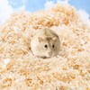 Sukh 14OZ Aspen Hamster Bedding - Aspen Shavings Pet Supplies