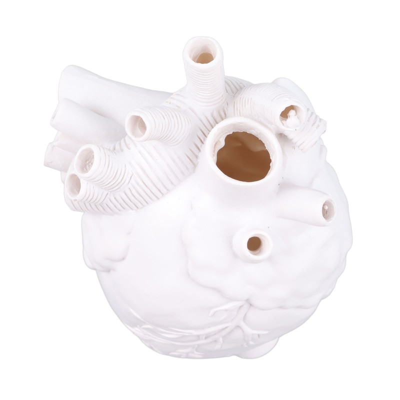 Creative Anatomical Heart Vases Resin Sculpture Heart Shaped Art Flower