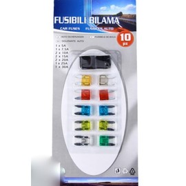 Set of 10 car fuses Mini Flat Plug Fuse 5–30A with Tongs