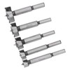 5pcs Forstner Bit Set Professional Multitooth Flat Wing Drill Bits