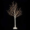RAZ Imports 4' Birch Lighted Tree with 400 White Fairy