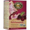 Nature's Path Frosted Toaster Pastry - Cherry Pomegranate - 11