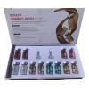 Stayve Bb Glow Stayve Starter Kit 12 Viales Booster Suero
