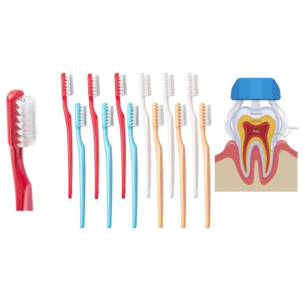 Collis Curve - 3 Sided Toothbrush Kids - Orthodontic Toothbrushes - Soft Bristle Toothbrush for Sensitive Gums, Bleeding Gums, Braces, Autistic, Adults (Pack 4)