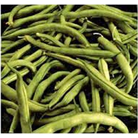 Bean Seed, Commodore Bush, Heirloom, 100+ Seeds, Non GMO, Green Beans