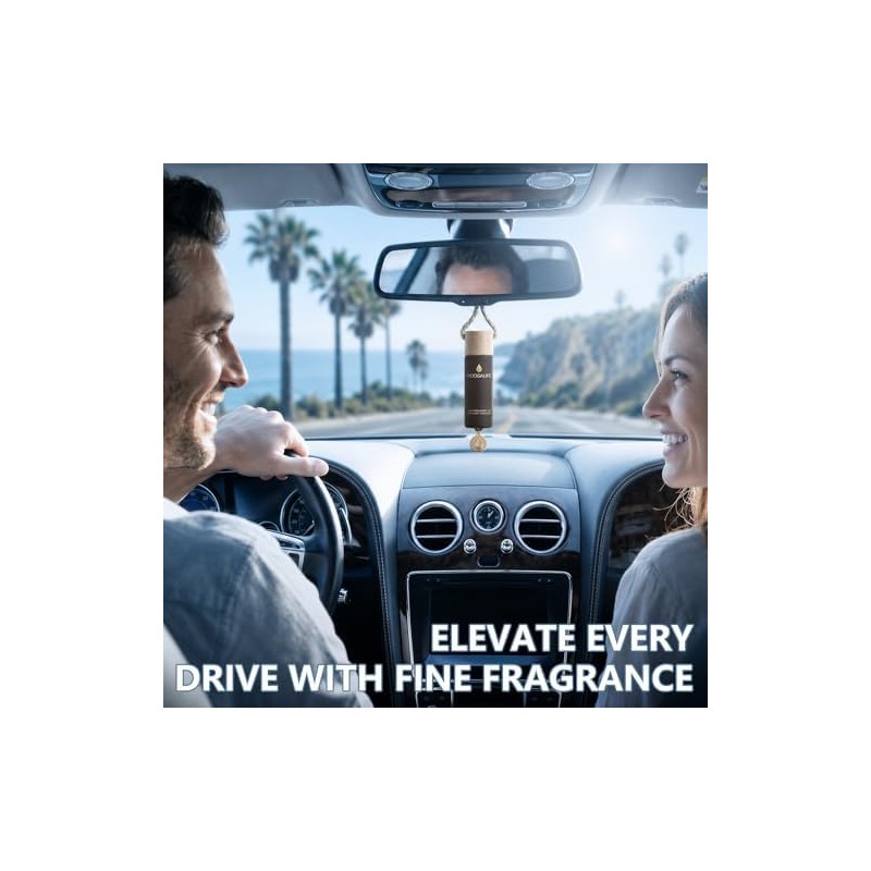 Hanging Car Air Freshener Diffuser 2 Pack, Refillable Bottle Auto