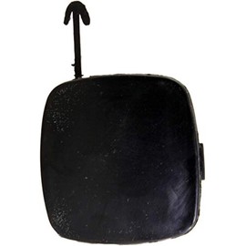 Garage-Pro Front Tow Eye Cover Compatible with Lexus ES300/ES330 2002-2006 RH Black