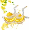 2 Pack Bird shape Lemon Squeezer, Lemon Juicer Acrylic Manual