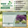 Outsidepride 15 Seeds Annual Blue Easy Wave Petunia Spreading Flower