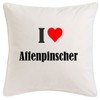 I Love Monkey Pinscher Cushion Cover 40 cm x 40