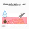 Rechargeable Ultrasonic Skin Scrubber Blackhead Removal Face Pore Cleaner Machine