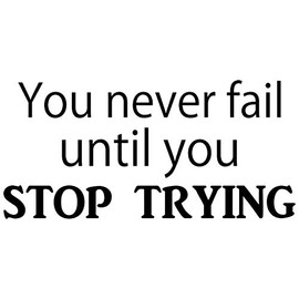 VWAQ You Never Fail Until You Stop Trying Wall Decal Motivational Quotes Vinyl Wall Art (19" H X 40" W)