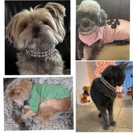 Blue Pearl Dog Collars for Small Dogs,Diamond Bead Dog Collar,Fancy Crystal Jewelry Bling Dog Collar for XXS Xs Small Medium Dogs Cat Pet,S