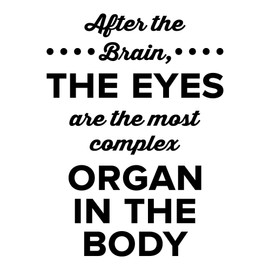The Eyes Wall Decal - 0513 - After the brain the eyes are the most complex organ in the body - Optometrist Wall Art