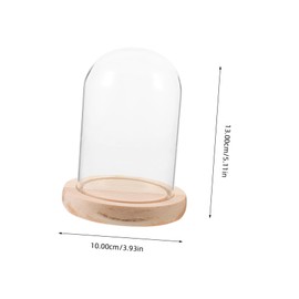 GLEAVI Transparent Glass Display Dome with Base for Tabletop Centerpiece Bell Jar Cover for Micro Landscape Preserved Flower Decoration Desk Ornament with Elegant Cloche Design
