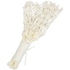 KANEYA K-1462 Basketball Net Test (Set of 2)