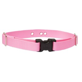 LupinePet Basics 1" Pink 16-24" Containment Collar Strap for Medium and Larger Dogs