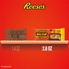 REESE'S Big Cup with Pieces Milk Chocolate King Size Peanut